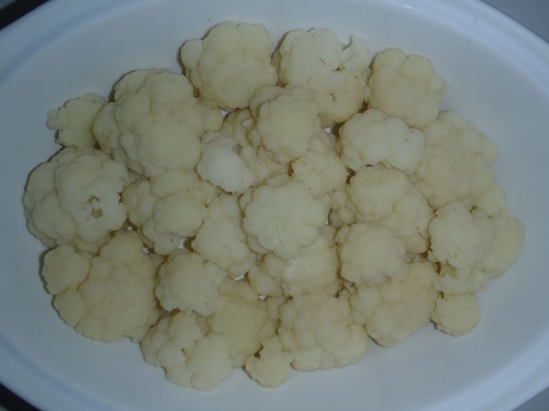2011_03_10_-_Olympus_6020_-_006.JPG